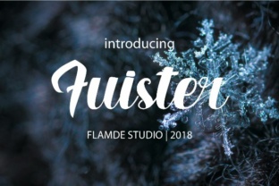 A Bold Script Font That Brings Brand Identity to Life