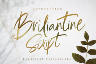 Briliantine Script Typeface for Editorial Design
