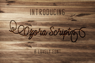 Ozora Script: A Designer’s Real-World Review