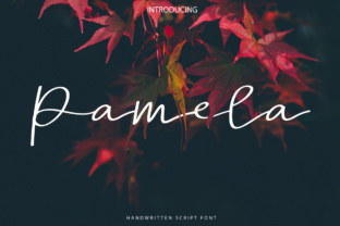 Pamela Script: A Handwritten Font That Feels Like a Signature