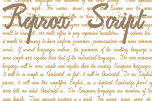 Reprox Script: A Designer’s Honest Review