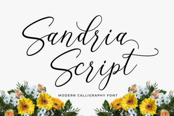 Sandria Script: A Feminine, Trendy Font for Handmade Brands